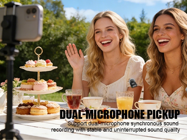 DUAL-MICROPHONE PICKUP