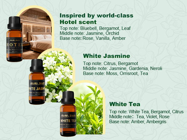 essential oil set