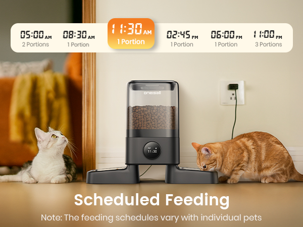 Automatic Cat Feeder for 2 Cats