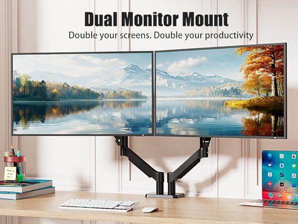 dual monitor stand