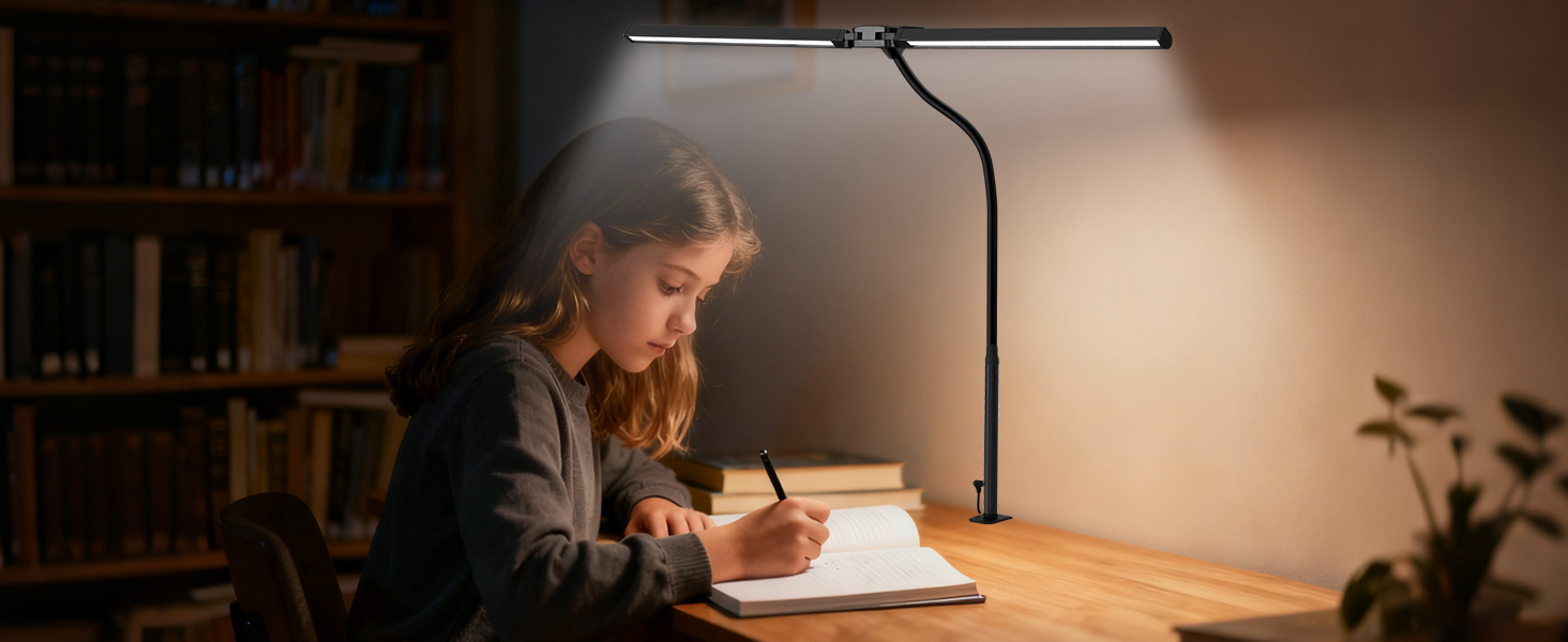 Desk Lamp with Clamp