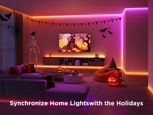 Holiday Decor