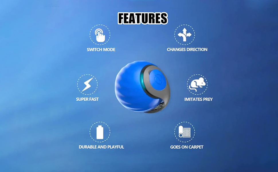 Interactive Cat Toys for Indoor Cat