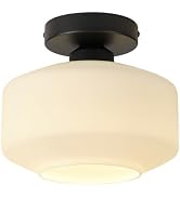 TeHenoo Milk Glass Ceiling Light Fixture,8.6 inch, Matte Black Base,Modern Flush Mount Light for ...