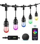 HBN Smart Color-Changing Outdoor String Lights - 24ft, LED, Flat, 2.4 Ghz WiFi Needed-Compatible ...