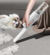 brush vacuum