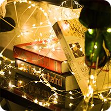 fairy string lights