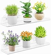 Lifewit Window Plant Shelves 14.6", 2 Pack Acrylic Suction Cup Floating Shelf for Bathroom Mirror...