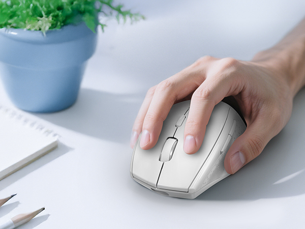 mouse