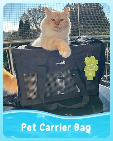 Text reads: 'Pet Carrier Bag'. Black mesh pet carrier with orange cat inside, shown in outdoor rooftop setting with city skyline visible in background.