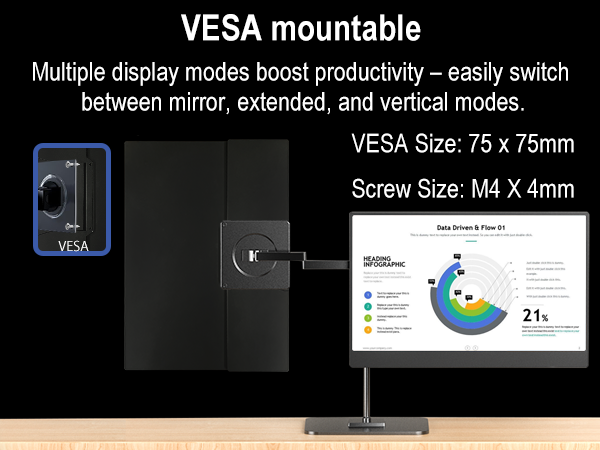 10 inch portable monitor