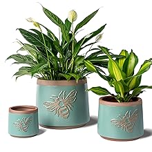 PLANTER