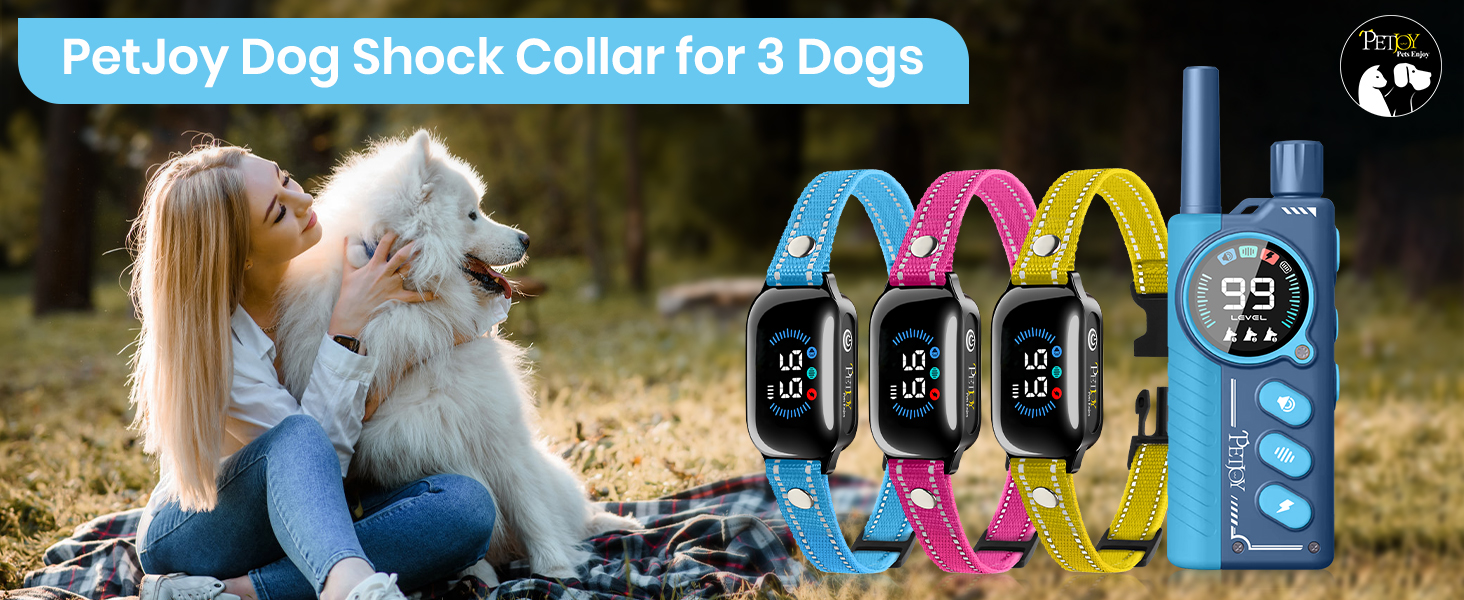 shock collar for 3 dogs