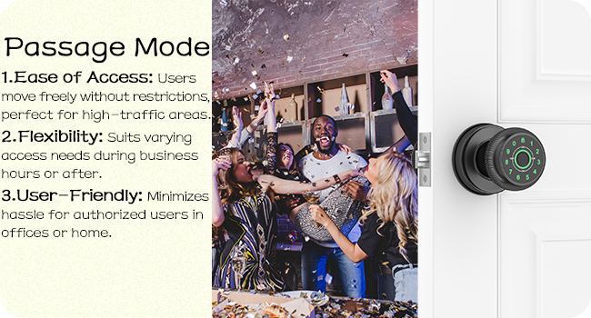 Bedroom Door Lock with Fingrprint Passage Mode 