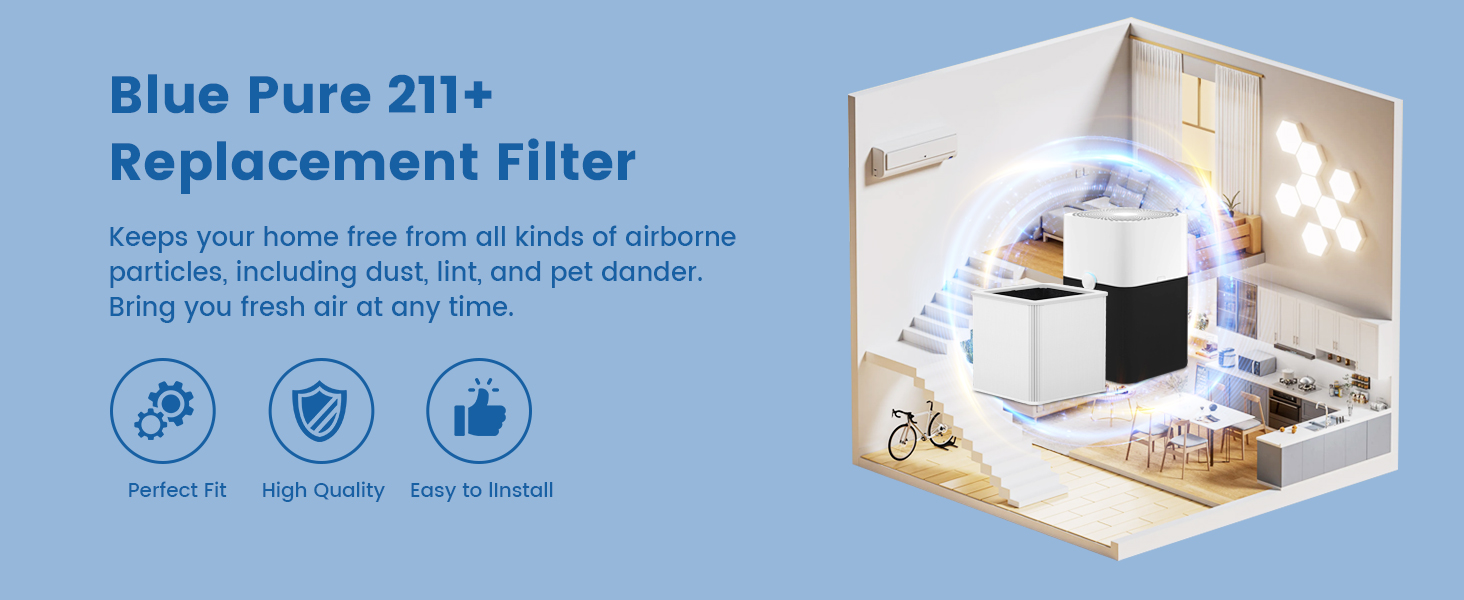 211+ Replacement Filter