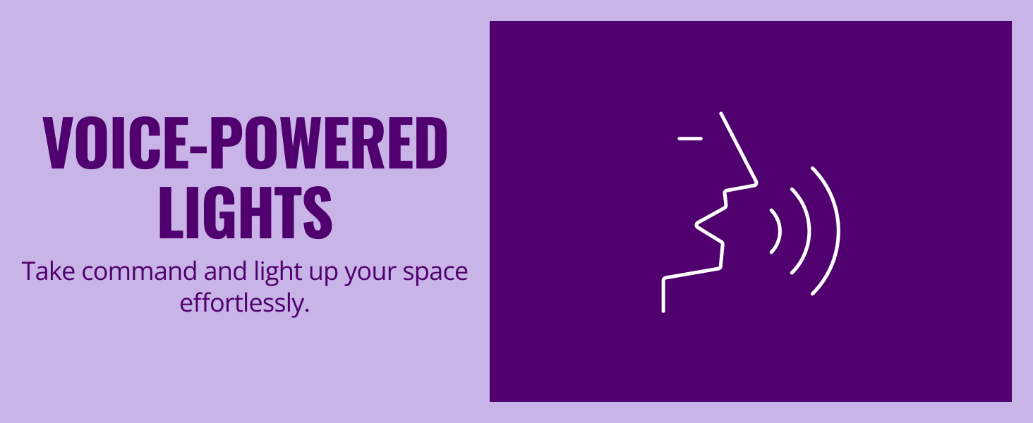 Voice powered lights