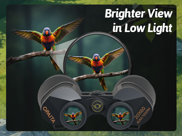 binoculars for hunting