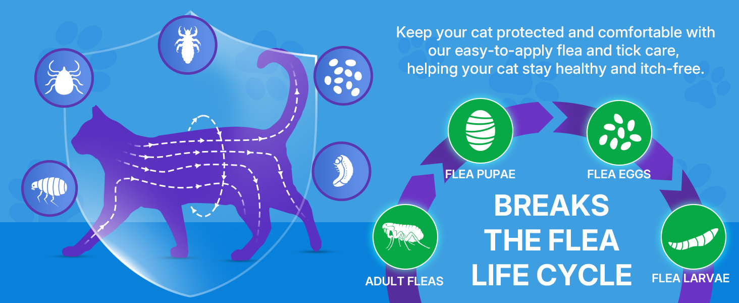 cat flea treatment