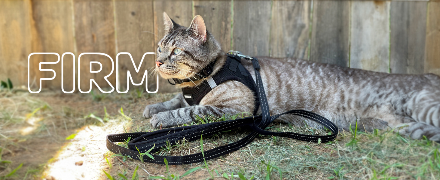 dog collars, harnesses &amp;amp; leashes