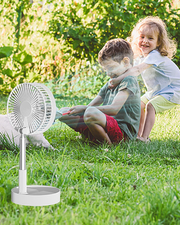 fan with remote standing fan
