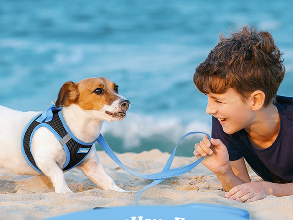  rabbitgoo Dog Harness