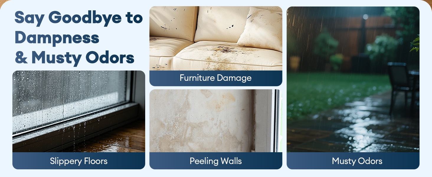 Dehumidifier for Home