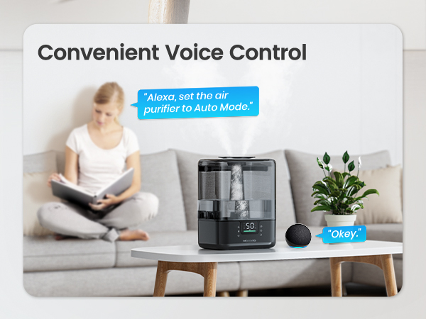 Convenient Voice Control