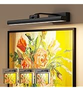 Eclipterra Wireless Picture Lights for Wall, Battery Operated Wall Light for Painting Rechargeabl...