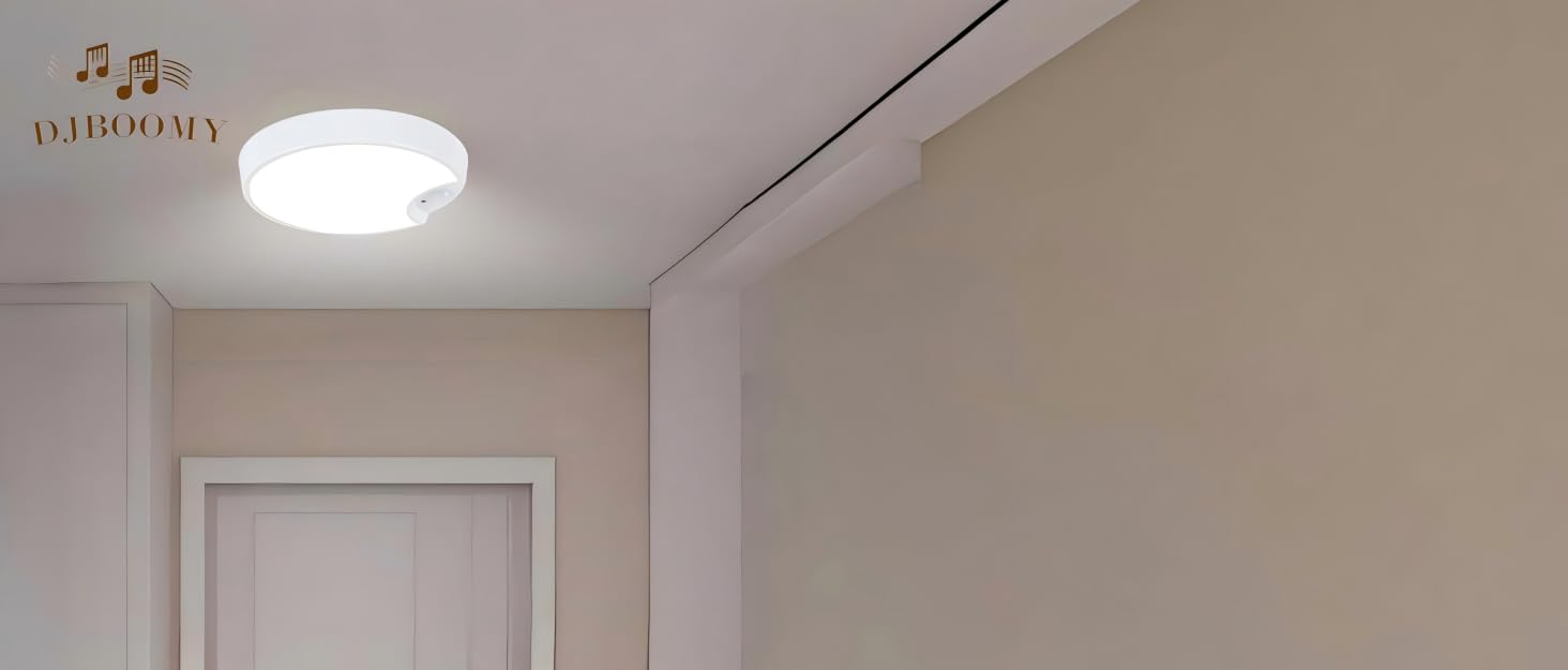ceiling light