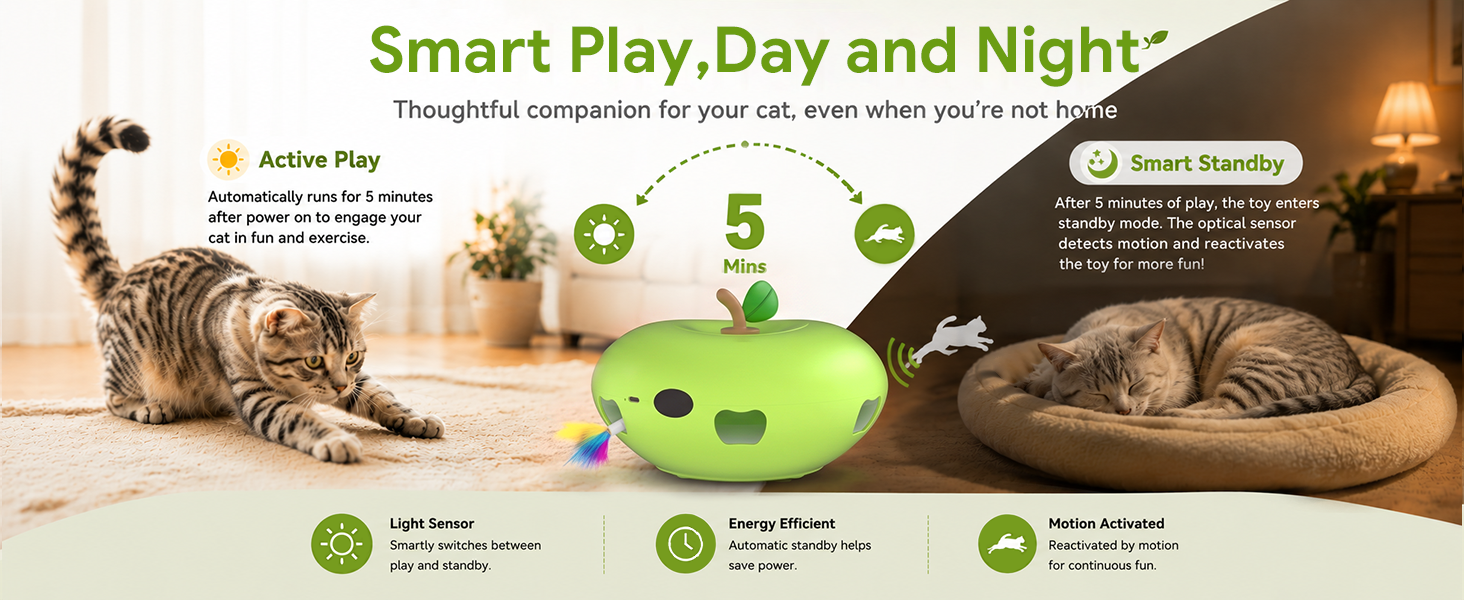 cat toys