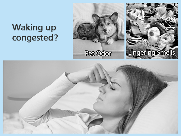 Core mini replacement filter