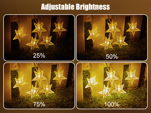 33 ft 100 LED Star Fairy String Lights