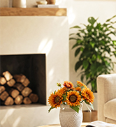 Interior home setting with fireplace, potted green plant, and decorative items on shelf against white wall.