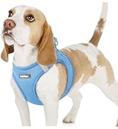 rabbitgoo Small Dog Harness, Step-in Soft Mesh Puppy Vest, Easy Walk with Safety Buckle, Breathab...