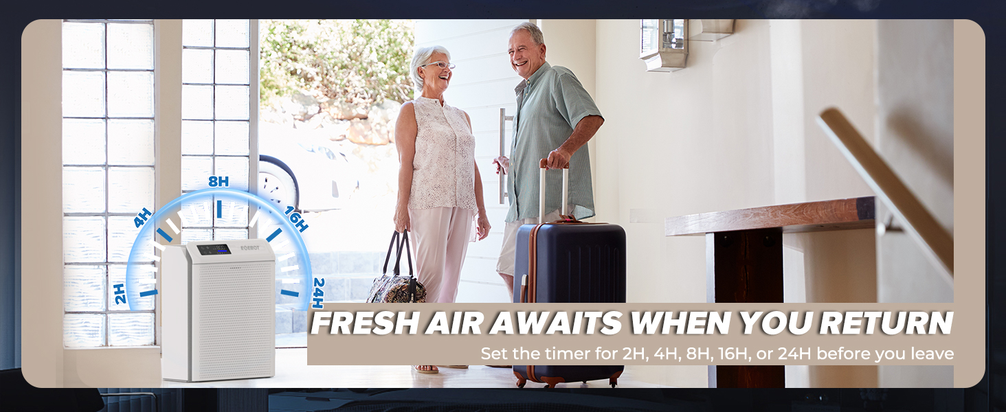 air purifier