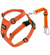 Nylon Pet Safety Seat Belts