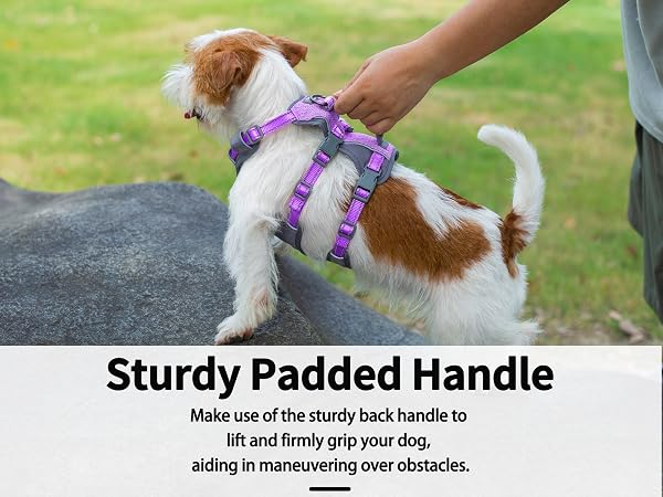 dog harness with handle 