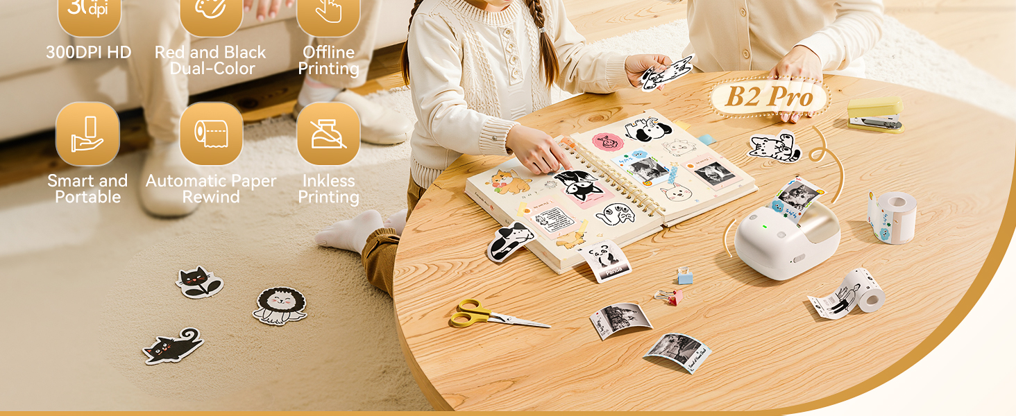 NIIMBOT B2 Pro Label Maker Machine with Tape