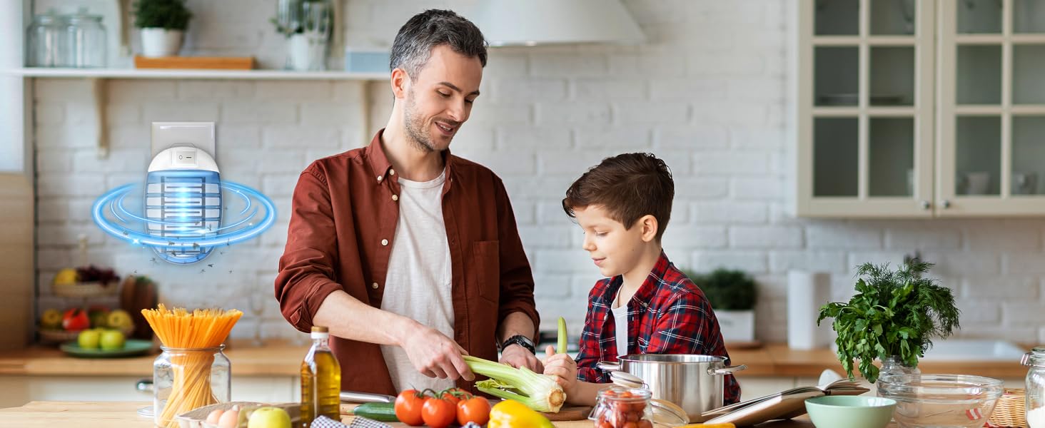 Bug zapper for Kitchen