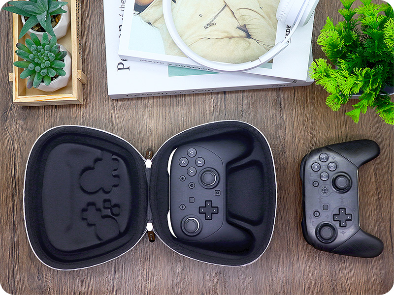 nintendo switch 2 pro controller case