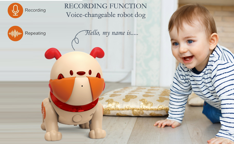 Voice-changeable robot dog