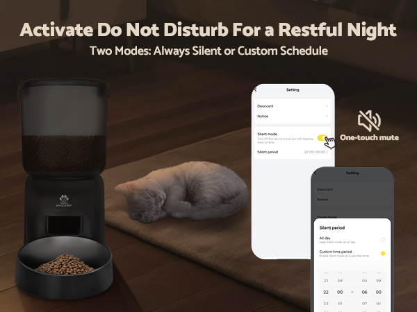 Automatic Cat Feeder