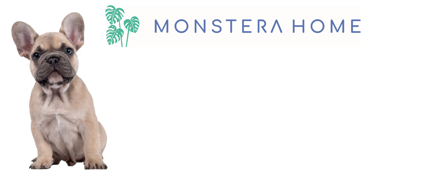 Monstera Home Frenchie Charcuterie Board Whiteboard