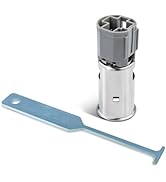Anina Power Outlet Cigarette Lighter with Removal Tool fits for Dodge Ram Chrysler Durango 2 plug...
