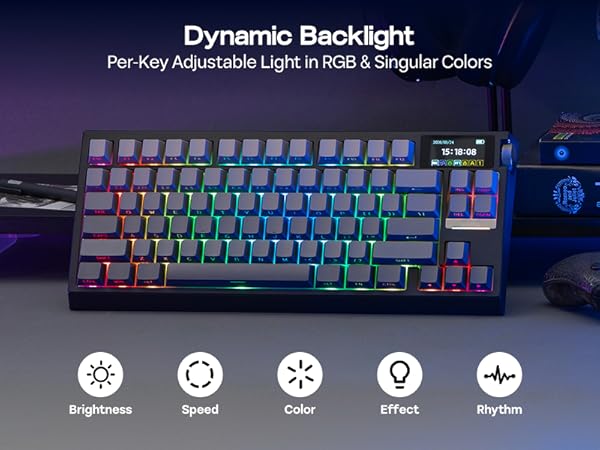 Text reads 'Dynamic Backlight' and 'Per-Key Adjustable Light in RGB &amp; Singular Colors'. Compact mechanical keyboard with RGB backlighting. Icons show Brightness, Speed, Color, Effect, and Rhythm controls.