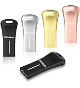 WesData 5-Pack 64GB Small USB Flash Drives with 2 USB-C Adapters in Portable Carrying Case, Zinc ...