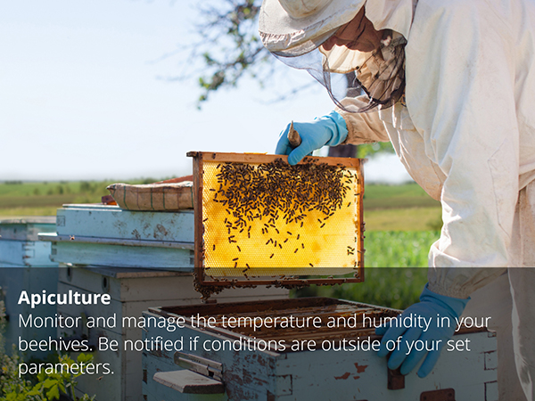 Apiculture