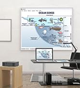 USB document camera teachers classroom PC 8MP light