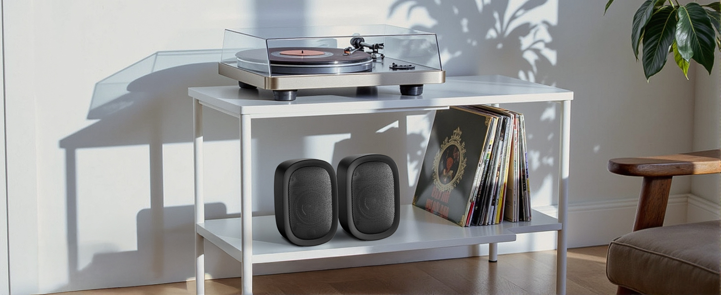 speaker for record player