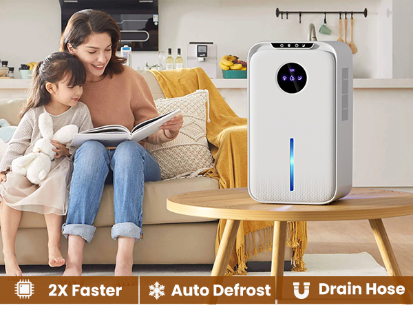 Dehumidifier